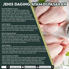 Maybe you would like to learn more about one of these? Jenis Daging Ayam Di Pasaran Podomoro Poultry Equipment