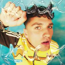 @dandliondlion's video Tweet