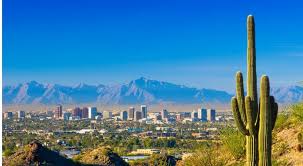 Learning how and when to fertilize your cactus is equally essential as having a watering schedule and choosing the right potting mix. How To Start A Business In Arizona Smartasset