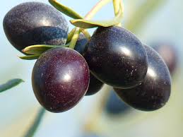 The flesh is pink with a sweet, juicy, and creamy delicious flavor. Black And Red Small Oval Fruit Free Image Peakpx