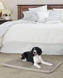 Chewy offers a much wider variety of colors and prints and they offer pendleton beds with a little more cushion. Kirkland Signature Pet Beds Costco