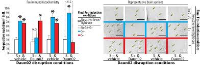 Distinct memory engrams in the infralimbic cortex of rats control opposing  environmental actions