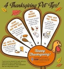 Read our fun thanksgiving facts including information about the thanksgiving day parade. Four Thanksgiving Pet Safety Tips Back Bay Veterinary Hospital