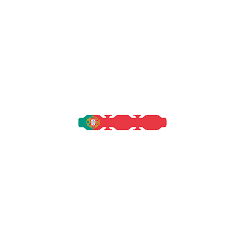 The flag of portugal is red and green; Portugal Flag