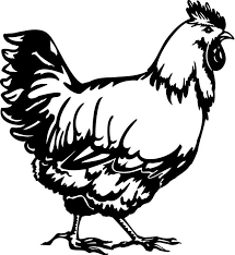 Black And White Hen Clipart 720x784 Graphics For Chicken Black And White Graphics Black And White Chickens Black And White Cartoon Black And White