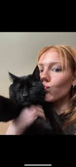 Lost black cat in Bothell area found