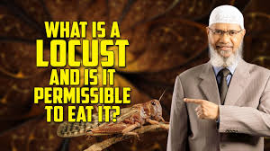 Answered according to hanafi fiqh by daruliftaa.com. Quick Answer Is Locust Halal In Islam Business Finance