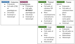 Domains And Kingdoms Diagram Quizlet