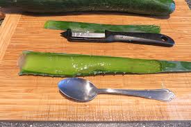 Die gesichtsmaske mit aloe vera ist besonders effektiv bei unreiner haut und pickel. Diy Aloe Vera Gurken Gesichtsmaske Selber Machen Outdoor Aktiv Und Okologisch Unterwegs