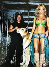 Image result for britney spears python