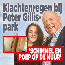 508 subject(s) created by peter gillis. Klachtenregen Bij Peter Gillis Park Schimmel En Poep Op De Muur Ditjes Datjes