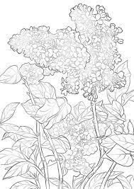 coloriage lilas coloriages a imprimer gratuits de camion forestier