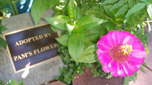 Maybe you would like to learn more about one of these? Pam S Flowers 219 Plaza Las Vegas Nm Florists Mapquest