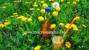 Sirop de papadie de alynusa. Cum Sa Faci Sirop Din Flori De Papadie Acasa Promotii Oferte Speciale Si Tutoriale