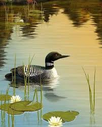 206 Begenme 3 Yorum Instagram Da Larisa Larisa Skrebkova In 2020 Wildlife Art Birds Painting Bird Drawings