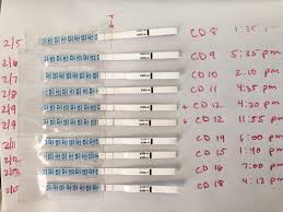 Heres some line porn for you. OPK progression. Positive on CD12. BD that  night. What are the chances it might have worked? Currently 5dpo today. :  rTFABLinePorn