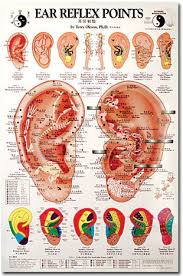 Reflexology Ear Chart Reflexology Ear Reflexology Reflexology Chart