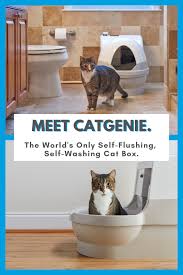 The Catgenie Is The Revolutionary Cat Box That All Cat Owners Need Instead Of Litter It Uses Reusable Washable Granules That Never Cat Box Cats Cat Care