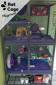 7 Pet Rat Cage Ideas You Have Got To See To Believe Spiffy Pet Products Rat Cage Rat Cage Diy Ferret Cage