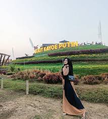 Tarif itu merupakan tarif per hari. Info Lokasi Harga Tiket Masuk Bukit Kayoe Putih Mojokerto