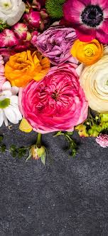 Hot pink roses, carnations and matsumoto asters are brought together with pink carnations, waxflower and lush greens to create a fun and spirited flower arrangement. Colorful Flowers Pink Yellow White 1125x2436 Iphone 11 Pro Xs X Wallpaper Background Picture Image