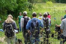Restoring Your Woodland: The Long Haul