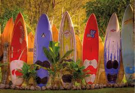 Maui and kauai, hawaiian islands map wall art prints with main island roads and topographic landscape features by maps as art. Brewster 8 902 Surfboard Wall Murals Maui