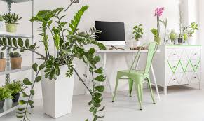 È buona norma quindi comprare dei teli di plastica per poter coprire gli arredi del giardino che sono troppo ingombranti per il garage o troppo complicati da smontare, come il dondolo ad esempio. Le Piante Da Appartamento Perfette Per L Autunno Pg Magazine