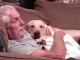 sweet dreams cute baby❣️