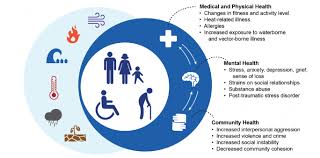Environment broadly includes everything external to ourselves, including the physical, natural, social and behavioral environments. Effects Of Environment On Public Health Jli Blog