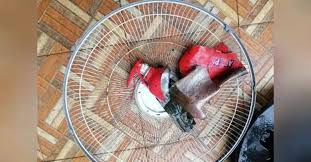 We did not find results for: Fire Extinguisher Explode Killed Man