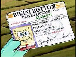 In some episodes he almost got his license nut he never did get it. Just Noticed That Spongebob S Driver S License Number Is A Best Buy Employee Number Bestbuy