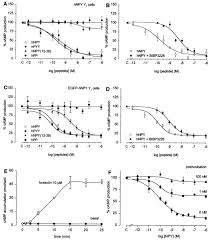 1306 reviews by visitors and 10 detailed photos. Rapid Internalization And Recycling Of The Human Neuropeptide Y Y1 Receptor Journal Of Biological Chemistry