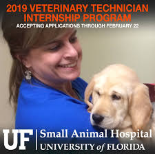 University of Florida College of Veterinary Medicine
