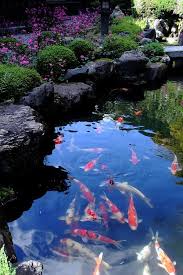 This japanese inspired landscape infuses all the details of a traditional japanese tea garden. Beautiful Backyard Pond Ideas Diy Crafts Blog Fish Pond Gardens Koi Pond Backyard Koi Pond