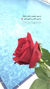 همسه يا حبيب الصيف و أنفاس الشتاء يا حبيب الع مر و يا قلبي البعيد تصويري تصويري سناب تصميمي تص great words inspirational quotes roman love