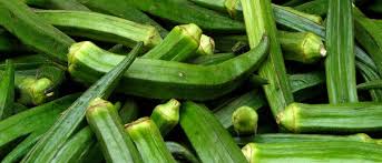 The scientific name of okra plant is hibiscus esculentus. Is It Safe To Eat Lady Fingers During Pregnancy India Parenting