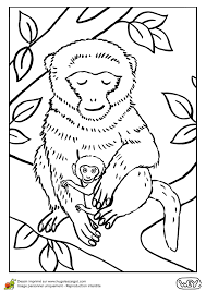 epingle sur coloriages de bebes animaux meilleurs livres au crochet pour tous les niveaux coloriage