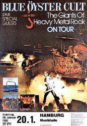 Image result for Blue 1980 AiRep Tours