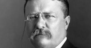 Teddy Roosevelt and the Crucible of Adversity that made him President