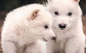 News source: Le Parisien