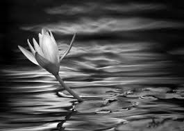 No need to register, buy now! Showcase Of Water Photography In Black And White Hongkiat