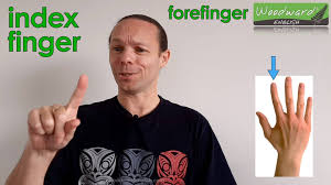 Arches in determining the _____ classiﬁcation, numerical values are assigned to each ﬁnger which is counted only when the ﬁnger is a whorl. Woodward English Index Finger Meaning And Example Sentence Facebook
