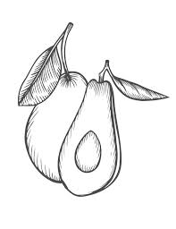 Colorir.com desenhos comida frutas abacates. Desenhos De Abacate Para Colorir Imprimir E Pintar Colorir Me
