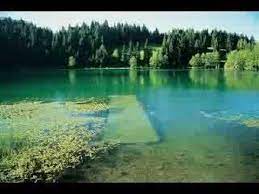 Maybe you would like to learn more about one of these? Op Beni Cimilli Ibo Lyrics Song Meanings Videos Full Albums Bios