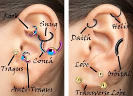 Perfect For Deciding Your Next Ear Piercing Piercings Ear Piercings Cartilage Piercing
