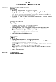 If hiring managers want a list of references, they will ask for one in the job description or during the interview. Credit Sales Resume Samples Velvet Jobs
