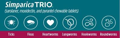 How long will it take you to watch this video? Simparica Trio