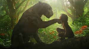 In the us, the copyright expired in 1951. Mowgli How Is This Version Of The Jungle Book Different Cbbc Newsround