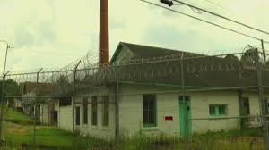 Tampa Bay Forensic Anthropologist'S New Book Details Torture, Abuse  Uncovered At Dozier School